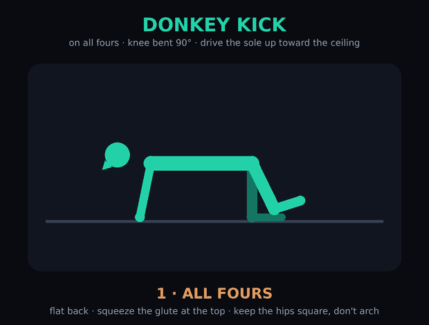 Donkey Kick